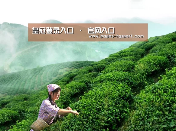 皇冠登录入口 · 官网入口