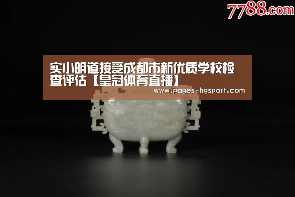 实小明道接受成都市新优质学校检查评估【皇冠体育直播】(图3) 皇冠体育网址