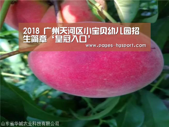 2018 广州天河区小宝贝幼儿园招生简章‘皇冠入口’(图1) 皇冠体育登录