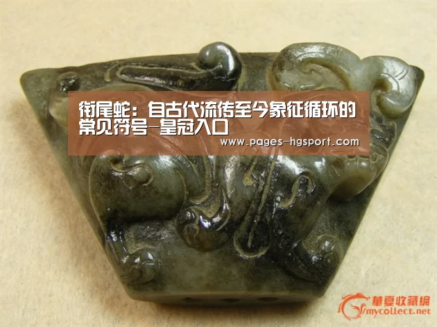 衔尾蛇:自古代流传至今象征循环的常见符号-皇冠入口(图1) 皇冠体育网址