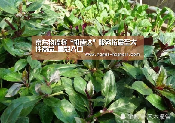 京东物流将“极速达”服务拓展至大件商品_皇冠入口(图3) 皇冠入口